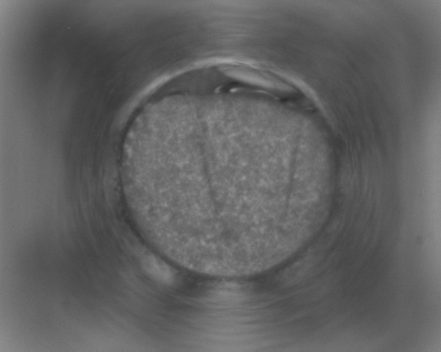 X0000081281359200702081942