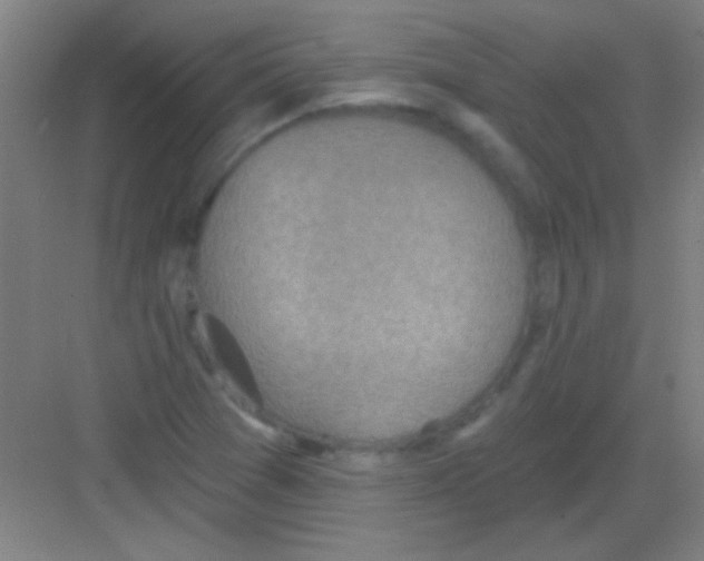 X0000081281361200702081942