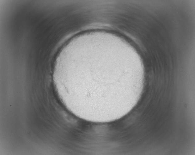 X0000081281363200702081942