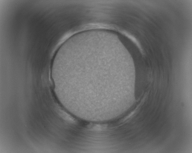 X0000081281365200702081942