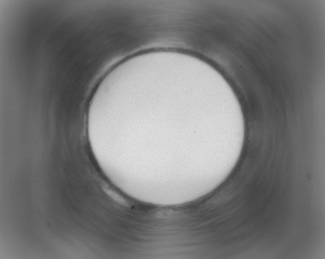 X0000081281366200702081942