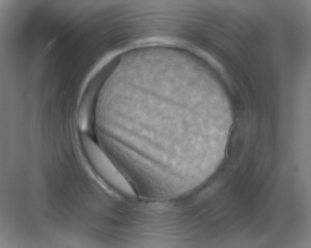 X0000081281373200702081942