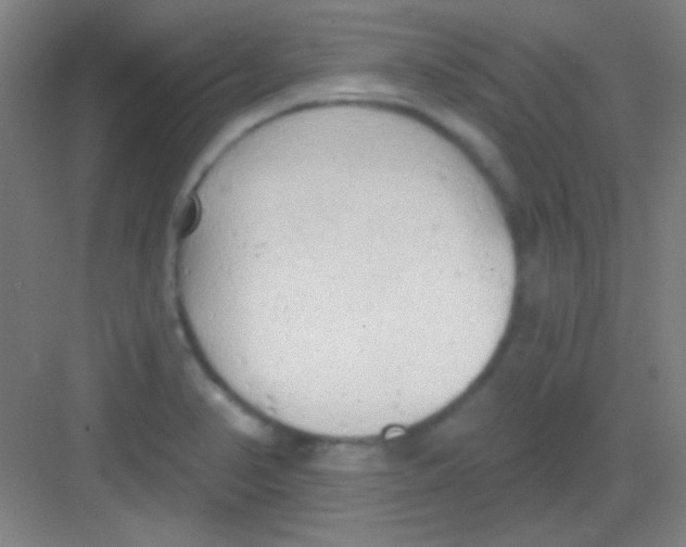 X0000081281374200702081941