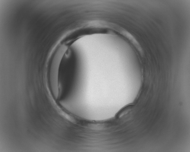 X0000081281376200702081941