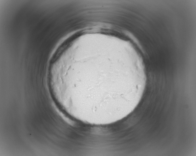 X0000081281379200702081941