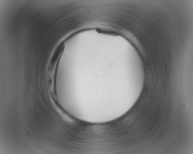 X0000081281380200702081941