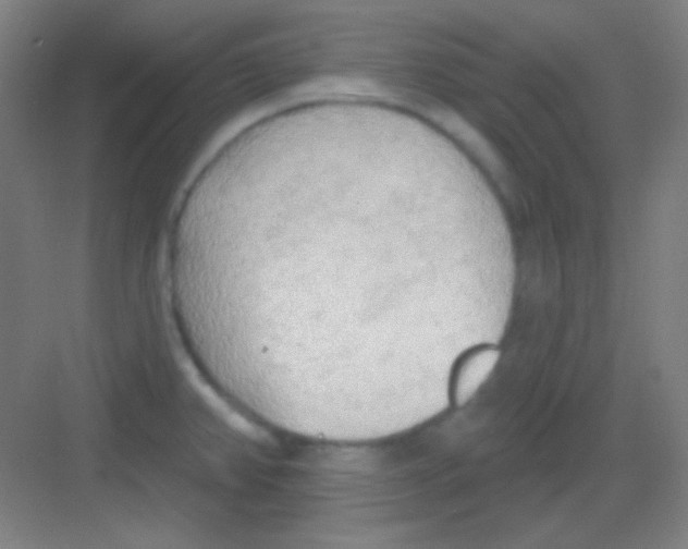 X0000081281382200702081941