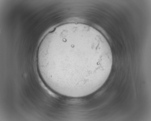 X0000081281387200702081941