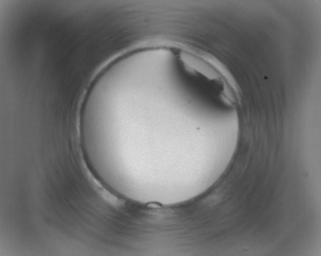 X0000081281388200702081941