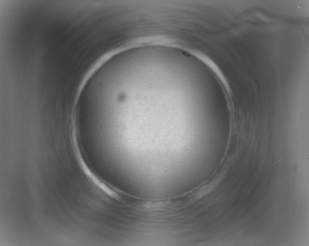 X0000081281389200702081941