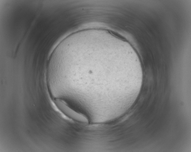 X0000081281390200702081941