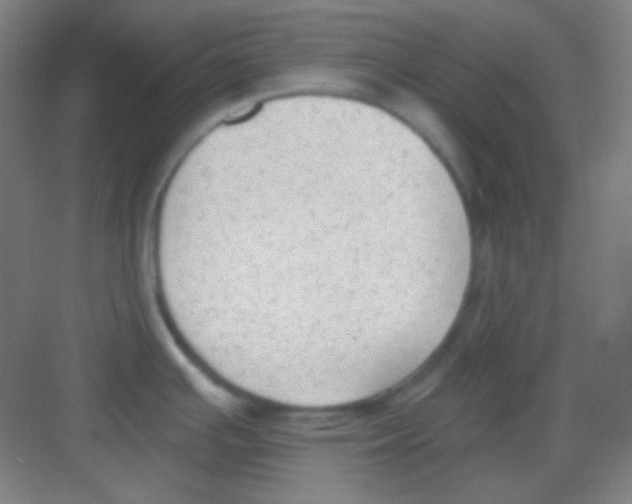 X0000081281391200702081941