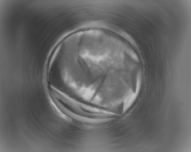 X0000081281392200702081941