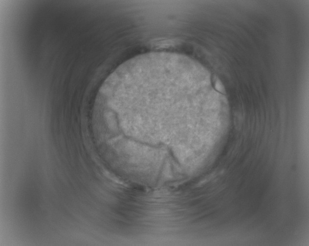 X0000081281393200702081940