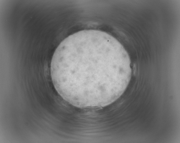 X0000081281395200702081940