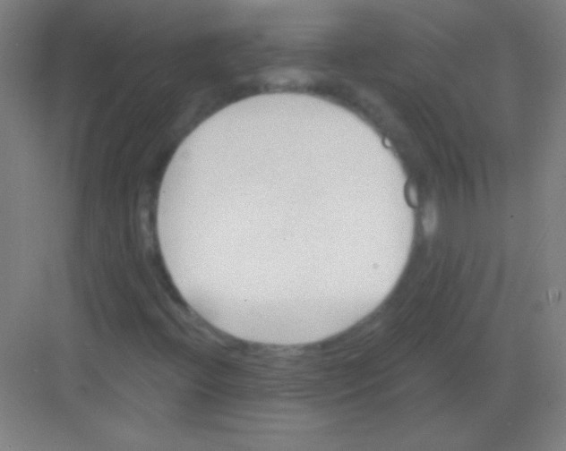 X0000081281396200702081940