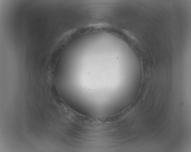 X0000081281398200702081940