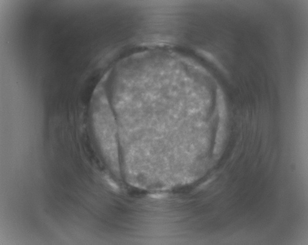 X0000081281399200702081940