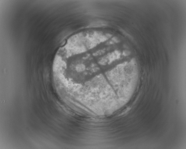 X0000081281401200702081941