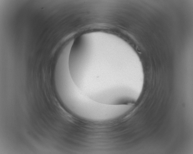 X0000081281402200702081941