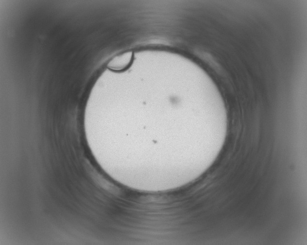 X0000081281404200702081941