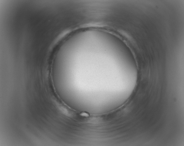 X0000081281406200702081941