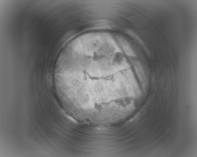 X0000081281409200702081941