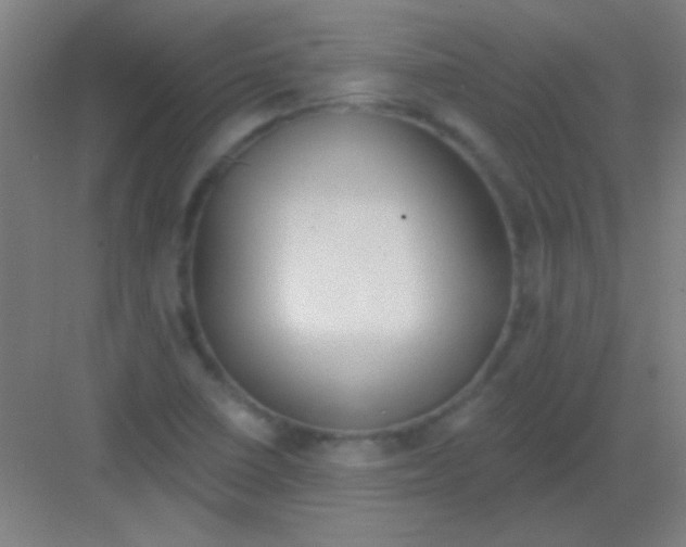 X0000081281410200702081941