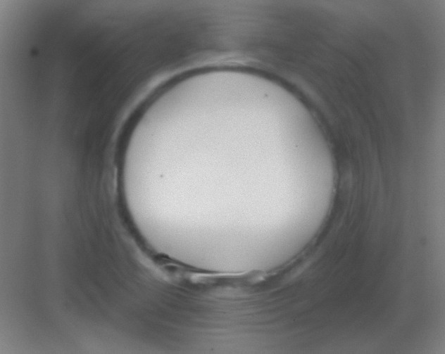 X0000081281414200702081941