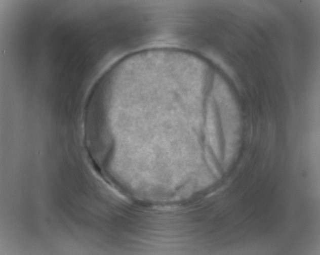 X0000081281415200702081941