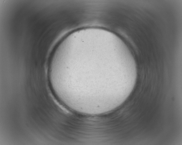 X0000081281416200702081941