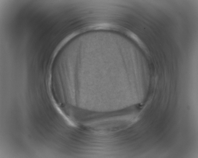 X0000081281418200702081941