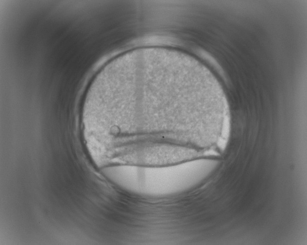 X0000081281419200702081941