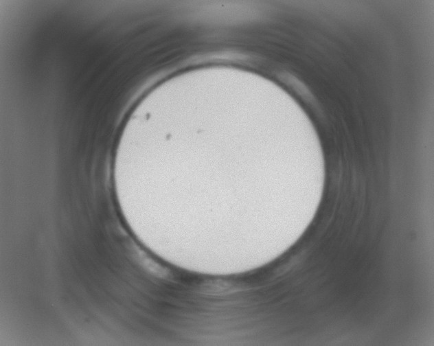 X0000081281420200702081941