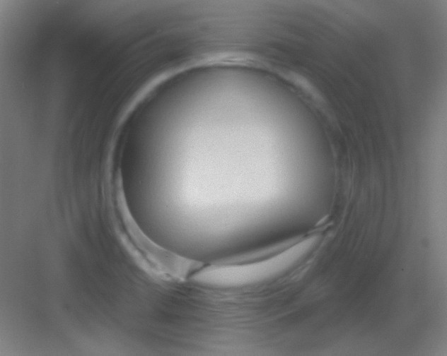 X0000081281422200702081941