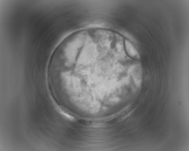 X0000081281423200702081941