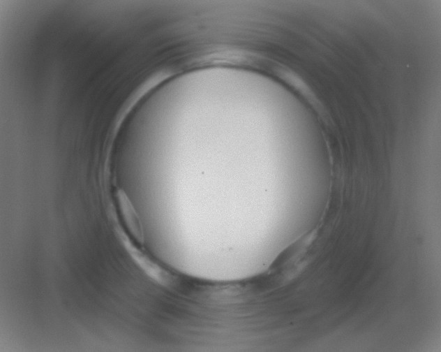 X0000081281426200702081941