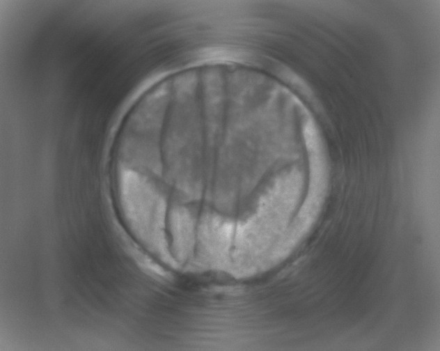 X0000081281427200702081941