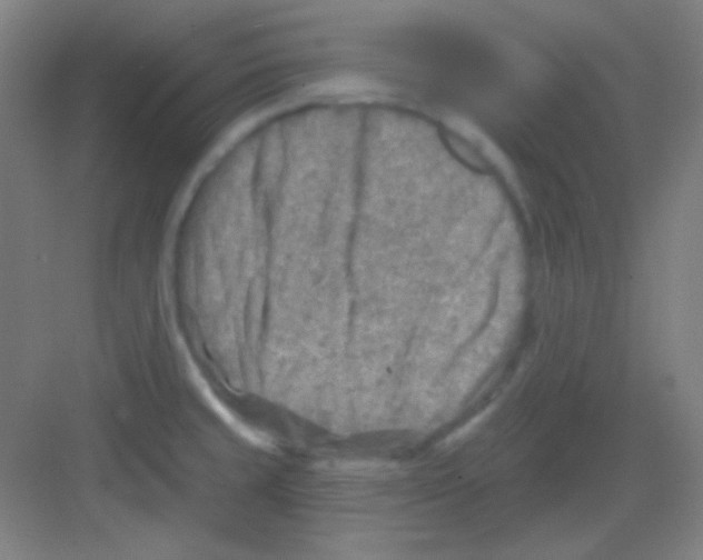 X0000081281429200702081941