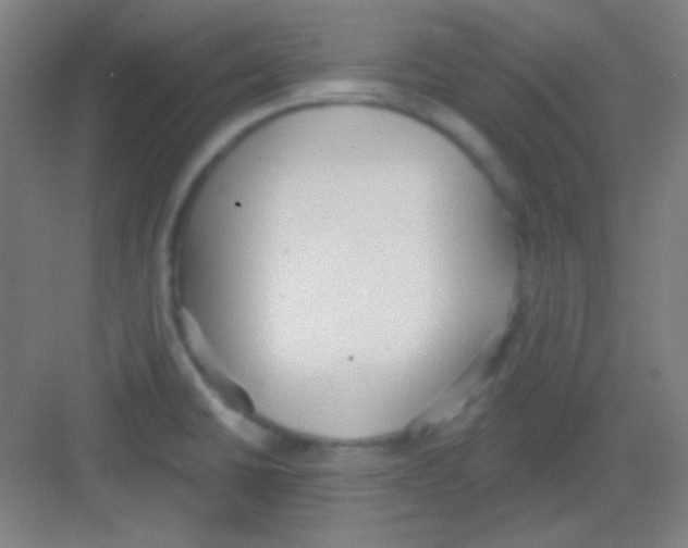 X0000081281430200702081941