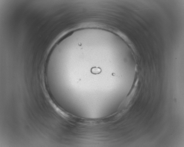 X0000081281438200702081941