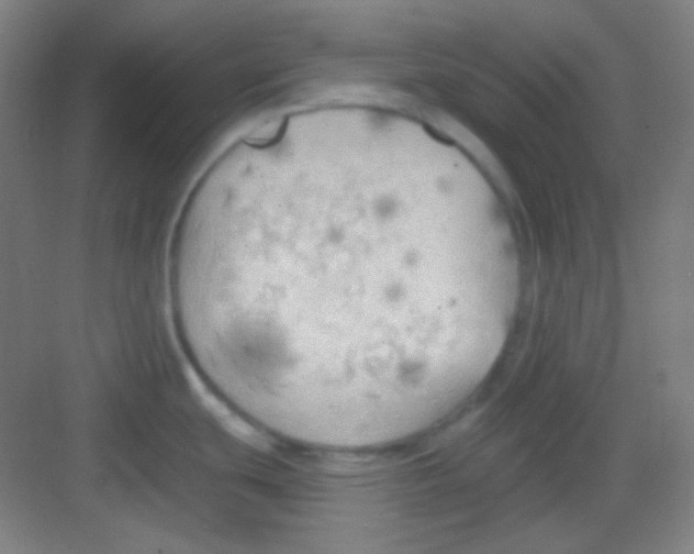 X0000081281439200702081941