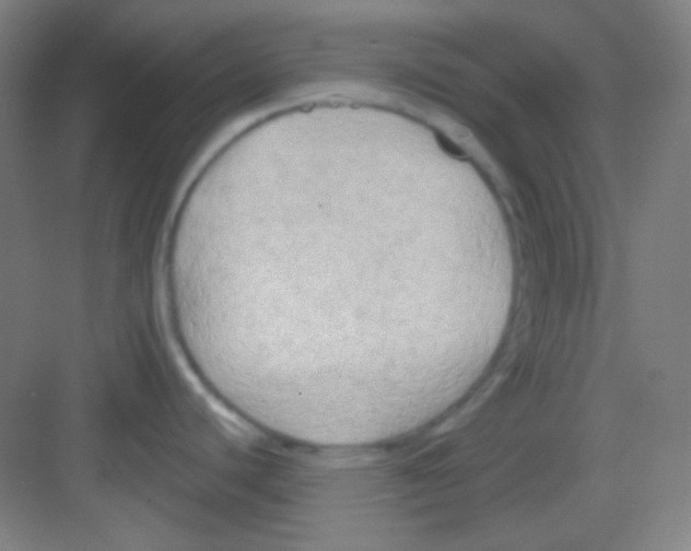 X0000081281440200702081941