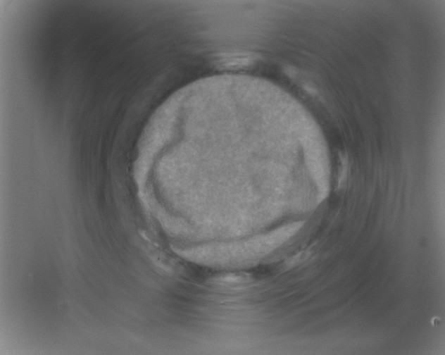 X0000081281441200702081940