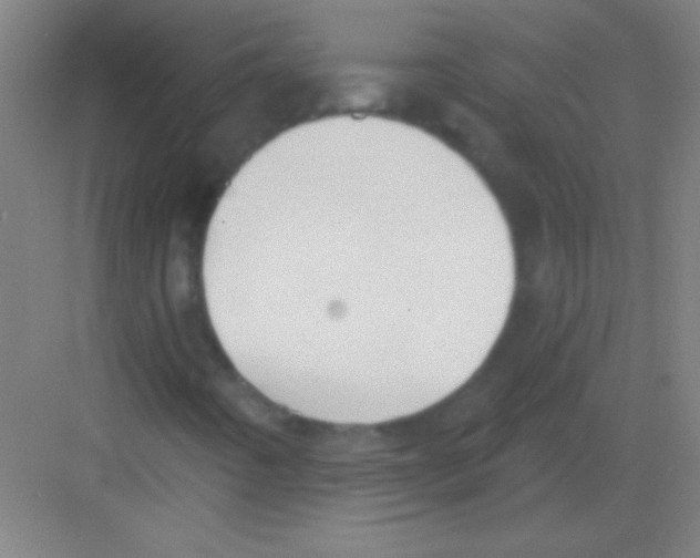 X0000081281442200702081940