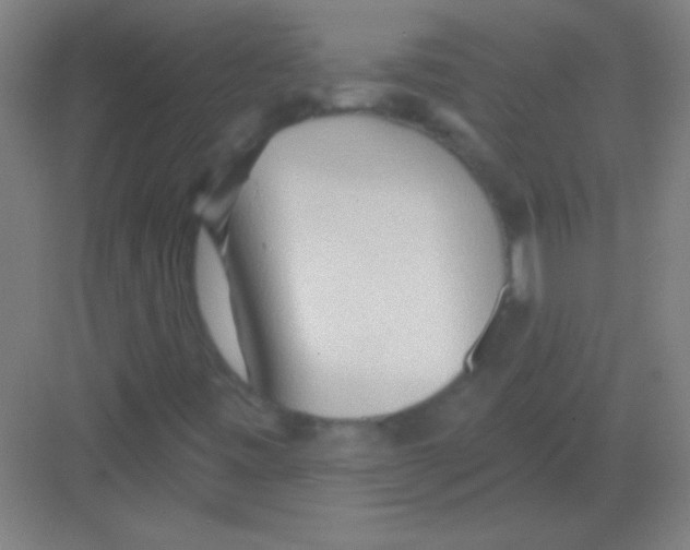 X0000081281443200702081940