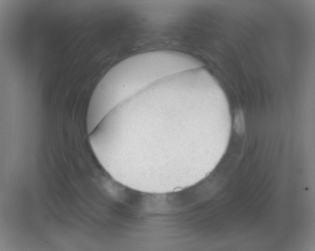 X0000081281444200702081940