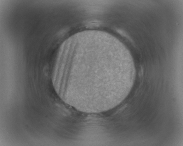 X0000081281445200702081940