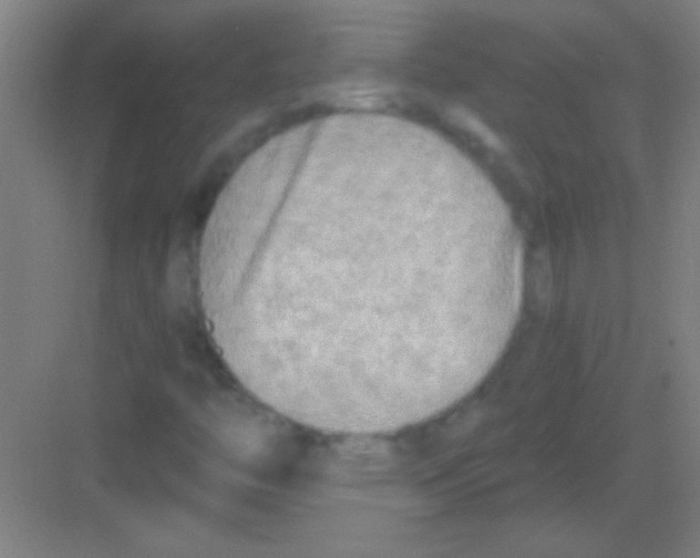 X0000081281446200702081940