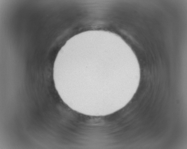 X0000081281447200702081940